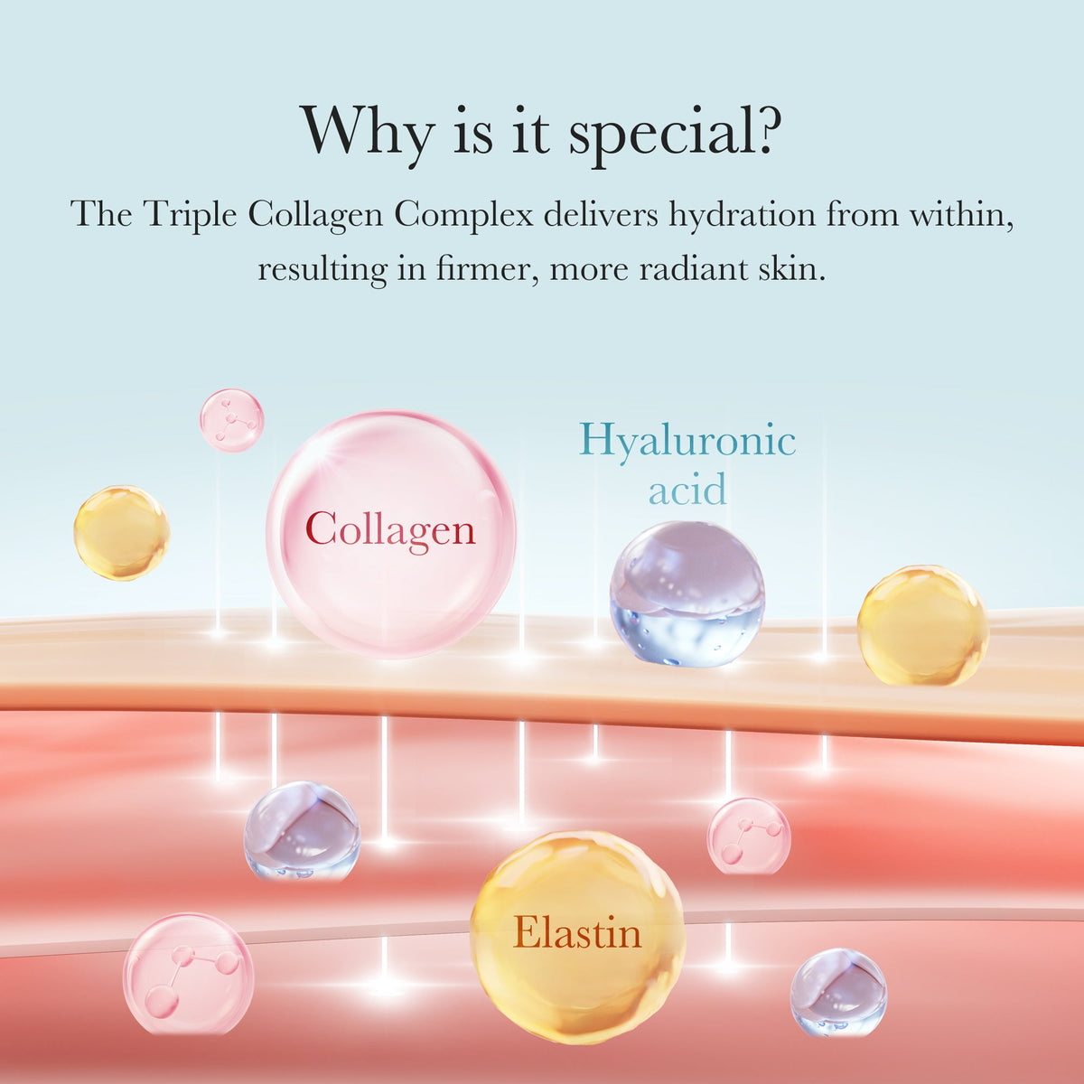 triple-collagen-cream-g1 04_8e4e330d-7d9c-4ff0-93ec-ea541093220c.jpg
